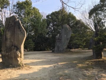 旅行に持っていく物、旅行で気づいた事の画像